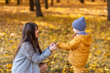 Genç ve güzel anne, sevgili oğluyla sonbahar parkında yürüyüşe çıkar..
