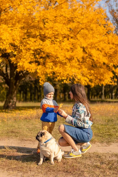 Una Giovane Madre Con Bambino Cane Carlino Una Passeggiata Autunnale — Foto Stock
