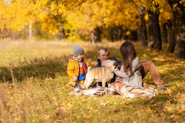 Молодая Семья Маленьким Ребенком Собакой Проводят Время Вместе Прогулке Осеннем — стоковое фото