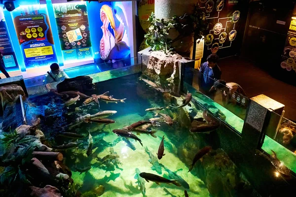 Wnętrze Oceanarium Świata Morskiego Szklane Akwarium Rybami Kuala Lumpur Malezja — Zdjęcie stockowe