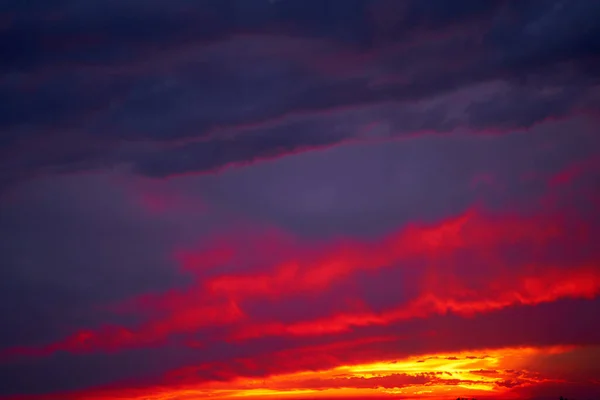 Fiery summer sunset landscape. Orange sun and dark blue sky.