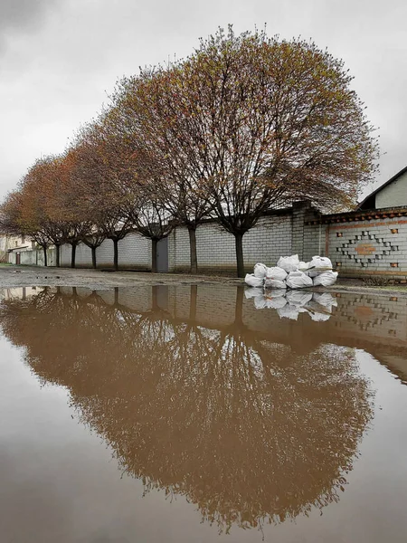 Uma Enorme Poça Marrom Longo Cerca Tijolo Restos Inverno Sacos — Fotografia de Stock