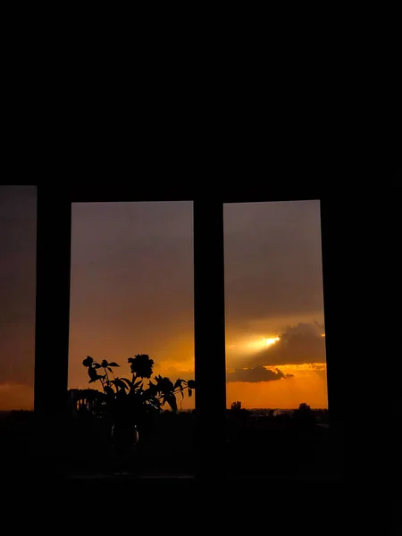 Комнатное Растение Окне Удивительным Ландшафтным Фоном — стоковое фото