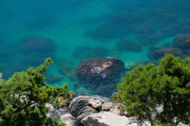 Kırım kıyısındaki yüksek bir uçurumdan bak..