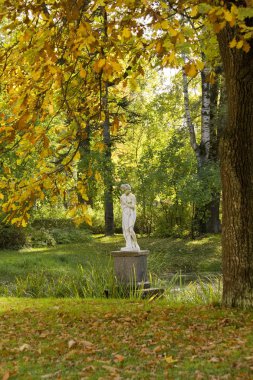 Autumn View with scilpture in old Pavlovsk Park