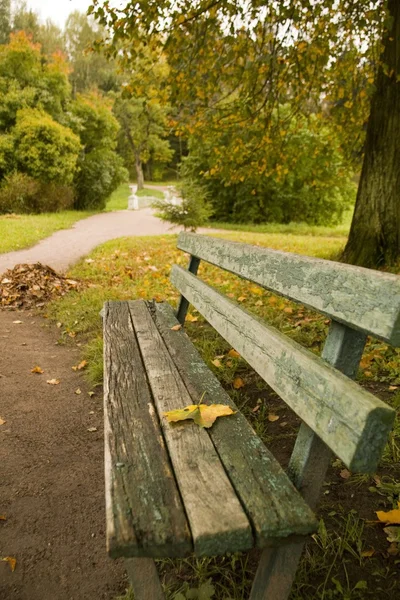 Bänk i höstparken — Stockfoto