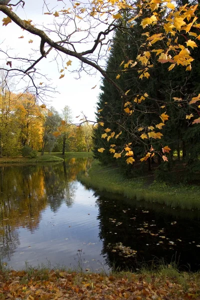 Herbstpark mit Blick auf den Teich — Stockfoto