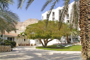 dead sea, İsrail çevre ein bokek beach otel
