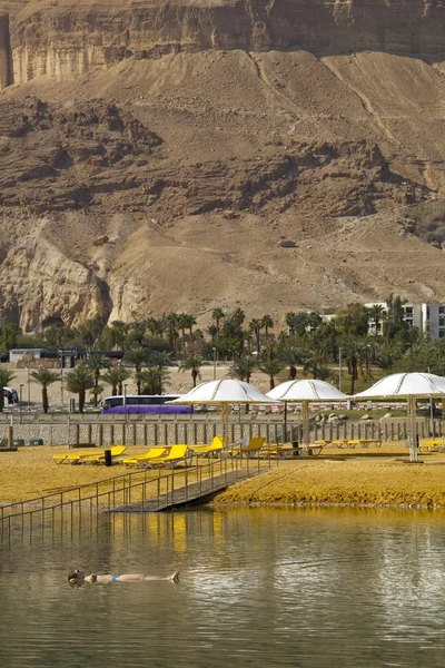 Dead Sea, Ein Bokek, Izrael — Stock Fotó