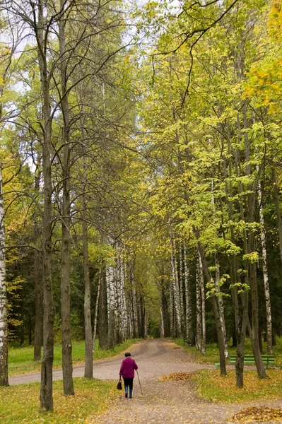 Kvinnan promenader i höst park allé. — Stockfoto