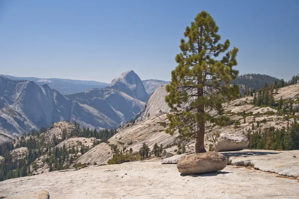 Parc national de Yosemite, Californie, États-Unis — Photo