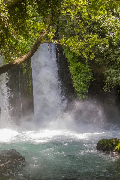 River Hermon ,Banias Nature Reserve in northern Israel — Stock Photo, Image