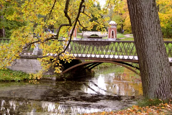 Herfst weergave in het park en de brug — Stockfoto