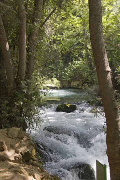 nehir hermon, banias tabiatı Kuzey İsrail