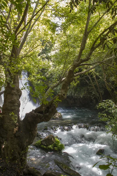 Wodospad na rzece hermon, banias rezerwatu przyrody, w Dystrykcie Północnym w Izraelu — Zdjęcie stockowe