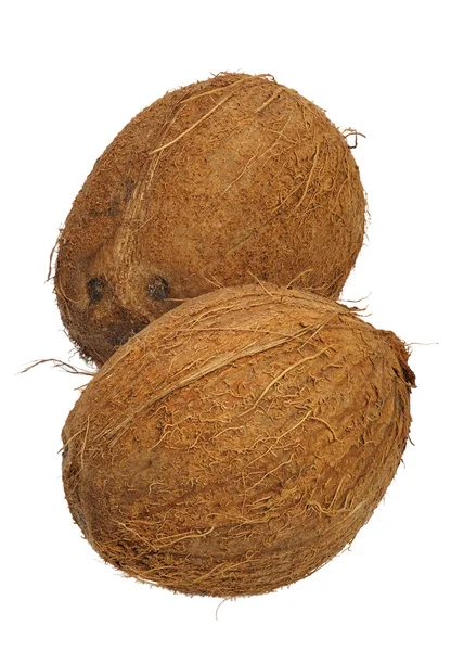 Coconut — Stock Photo, Image