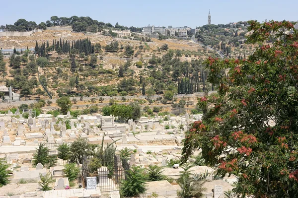 Monte degli Ulivi dalle mura di Gerusalemme . — Foto Stock