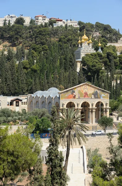 Monte de los Olivos, vista desde las murallas de Jerusalén . — Foto de Stock