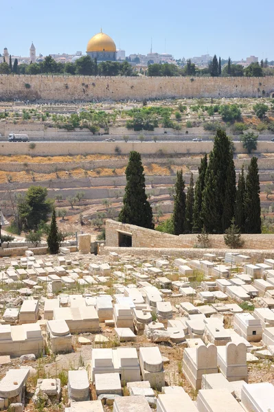 Mezarların üzerinde zeytin Dağı — Stok fotoğraf