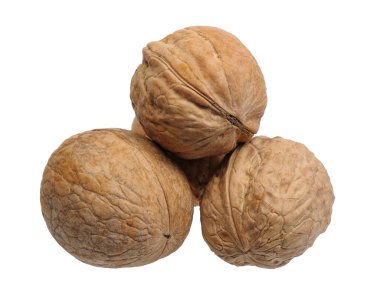 Piramit ceviz
