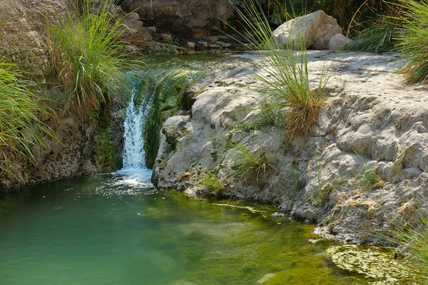 Réserve naturelle Ein Gedi au large des côtes de la mer Morte — Photo