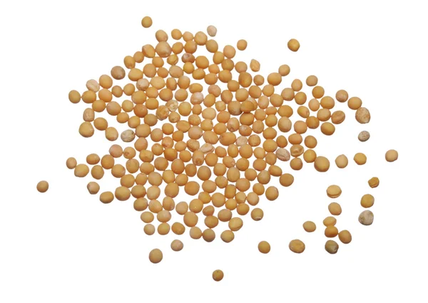 Mustard seeds — Stock Photo, Image