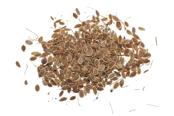 Семена фенхеля — стоковое фото