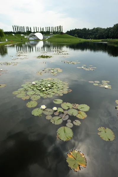 Jezero v parku — Stock fotografie