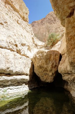 dağlar ve su ein gedi doğa rezerv 