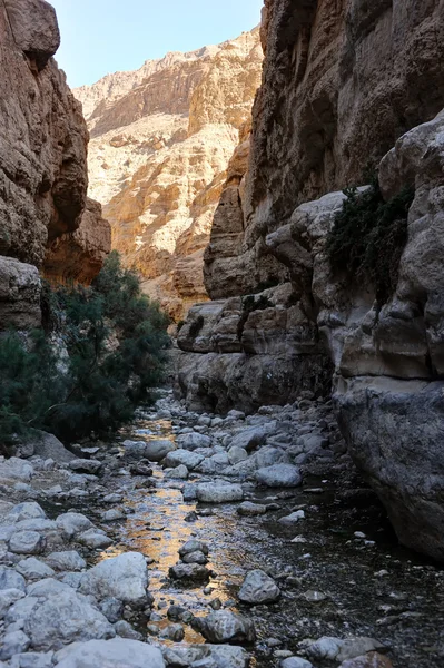 Berg och vatten i naturreservatet ein gedi — Stockfoto