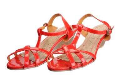 Kadın Ayakkabıları