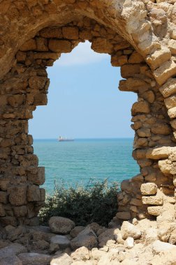 Palmiye ağaçları ve deniz Park Ashkelon İsrail