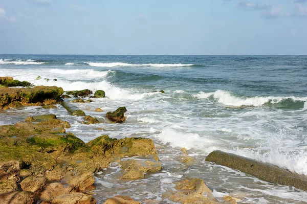 Costa Mediterránea Sur Israel Cerca Ciudad Ashkelon —  Fotos de Stock