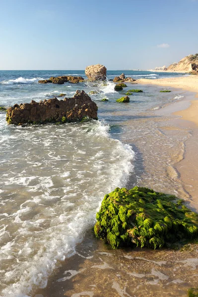 Mediterranean Coast Southern Israel City Ashkelon — Stock Photo, Image