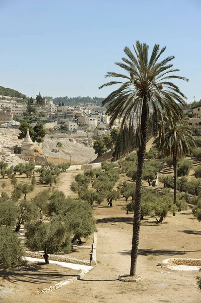 Heliga Platserna För Tre Religioner Israel Kidrondalen Och Oljeberget — Stockfoto