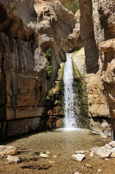 Fluxos Cachoeiras Reserva Natural Ein Gedi Mar Morto Israel — Fotografia de Stock