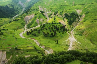 Gürcistan Kafkasya eteklerinde dağ yamacı