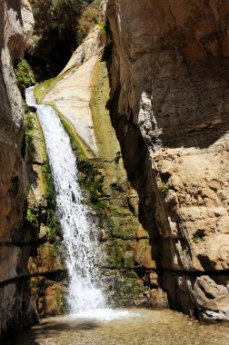Akarsu ve şelaleler doğa rezerv Ein Gedi Lut İsrail'de
