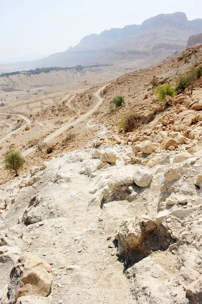 Montanhas Reserva Natural Ein Gedi Nas Margens Mar Morto Israel — Fotografia de Stock