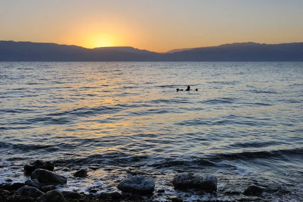 Die Küste Des Toten Meeres Der Nähe Eines Gedi Naturreservats — Stockfoto