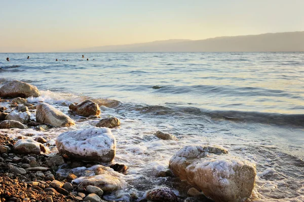 Coast Dead Sea Ein Gedi Nature Reserve Israel — Stock Photo, Image