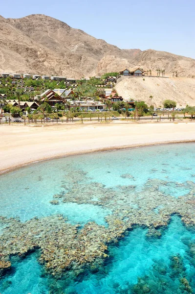 Ακτή Της Ερυθράς Θάλασσας Κοντά Στο Eilat Κοράλλια Και Βουνά — Φωτογραφία Αρχείου