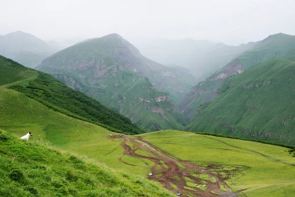 Tepeler ve Gürcistan'daki Kafkas Dağları eteklerinde