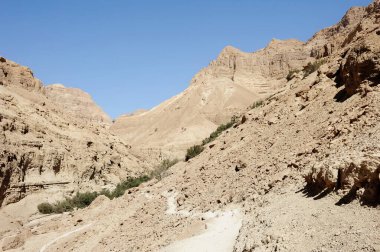 Ein Gedi doğa rezerv İsrail ölü deniz kıyısında dağlarda.