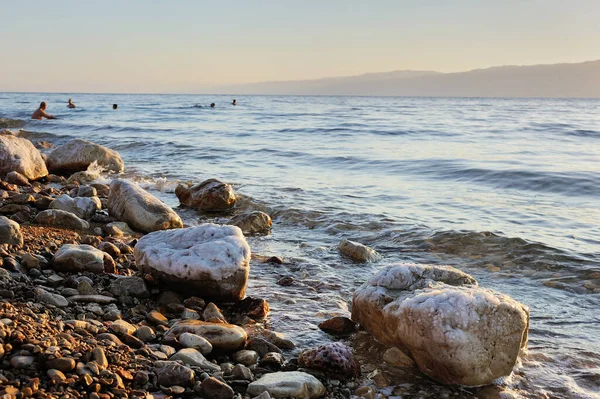 海岸的死海附近死海自然储备的以色列 — 图库照片