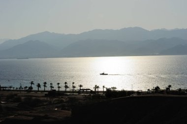 Sahil Kızıldeniz Körfez Eilat İsrail