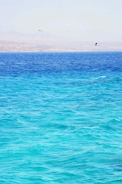 Vacaciones Verano Israel Mar Rojo Golfo Eilat —  Fotos de Stock