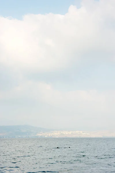 Galiläa Meer Kinneret Der Größte Süßwassersee Israel — Stockfoto