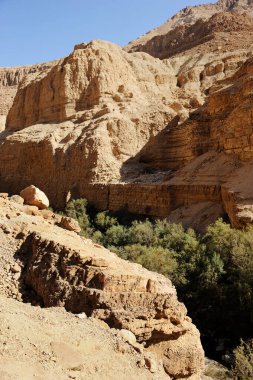 Ein Gedi doğa rezerv İsrail ölü deniz kıyısında dağlarda.