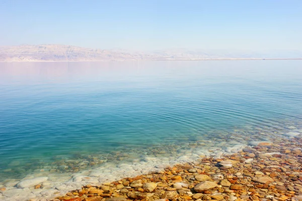 アイン ゲディ自然に近い死海の海岸をイスラエルで予約します — ストック写真